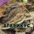 Агарикус (лиственная губка), гриб 30 г Азбука Трав