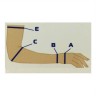 Рукав компрессионный кругловязаный РККВ "ЦК" вид 5 - рукав удлиненный с перчаткой, с фиксирующей застежкой, размер № 2