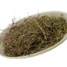 Зизифора (трава, 50 гр.) Старослав